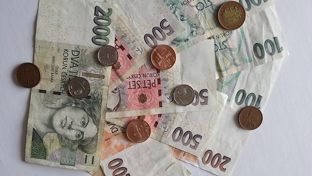 měna česká koruna.jpg