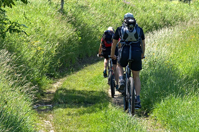 cyklisté u louky.jpg